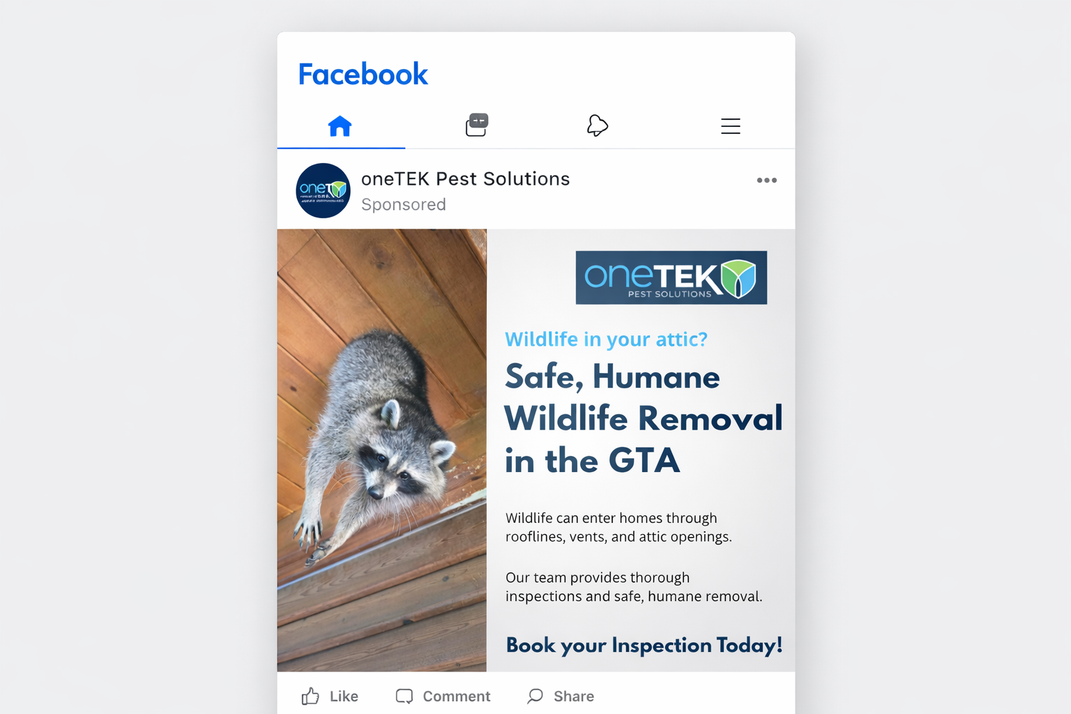 social media ad